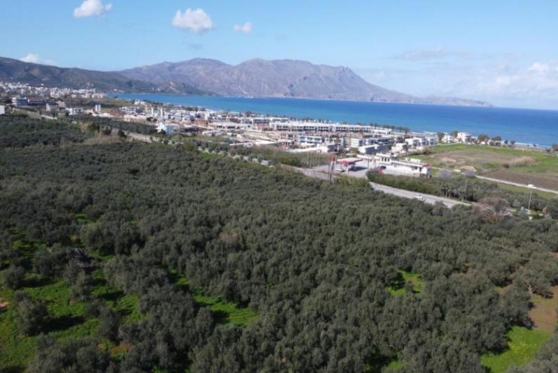 Kaloudiana Kreta - Kaloudiana: Schönes Grundstück mit Berg- und Meerblick Grundstück kaufen